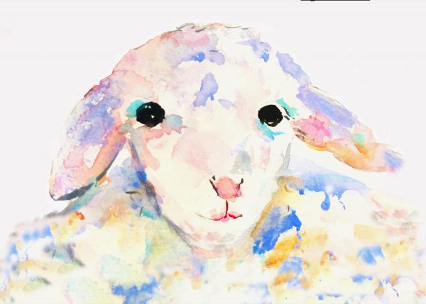 Watercolor Lamb