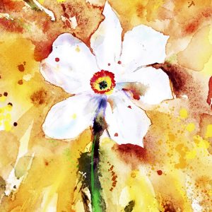 Watercolor White Flower