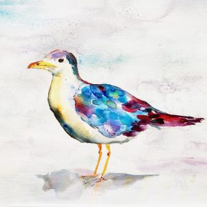 Watercolor Sea Gull