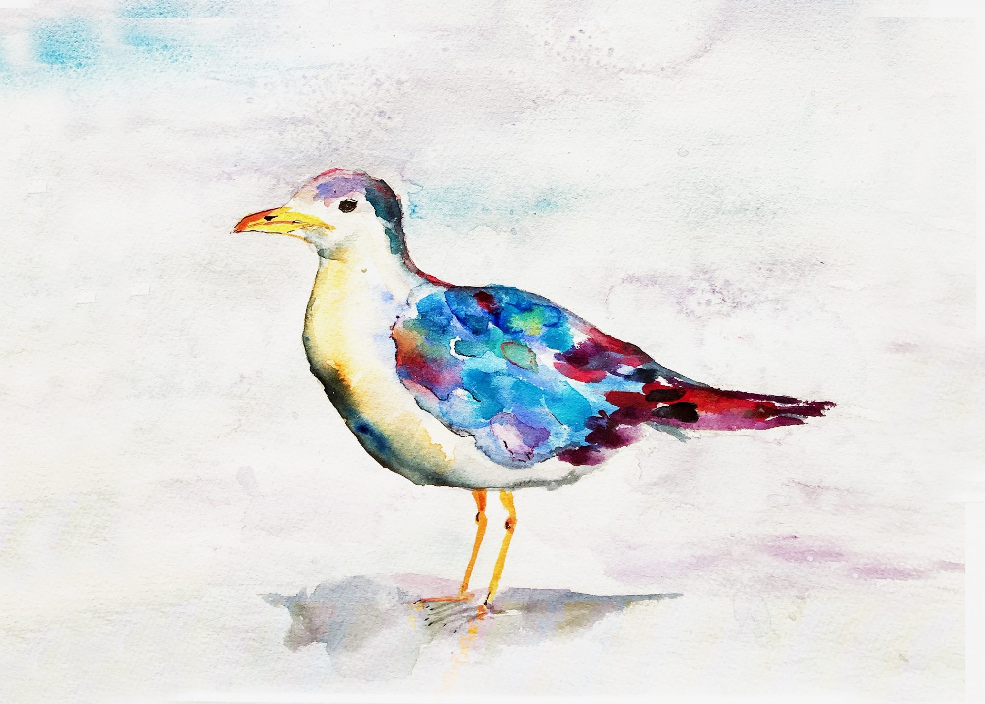 Watercolor Sea Gull